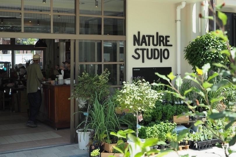 nature studio
